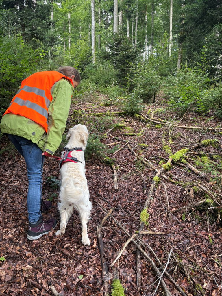 Die ersten Übungen im Wald von Biederbach