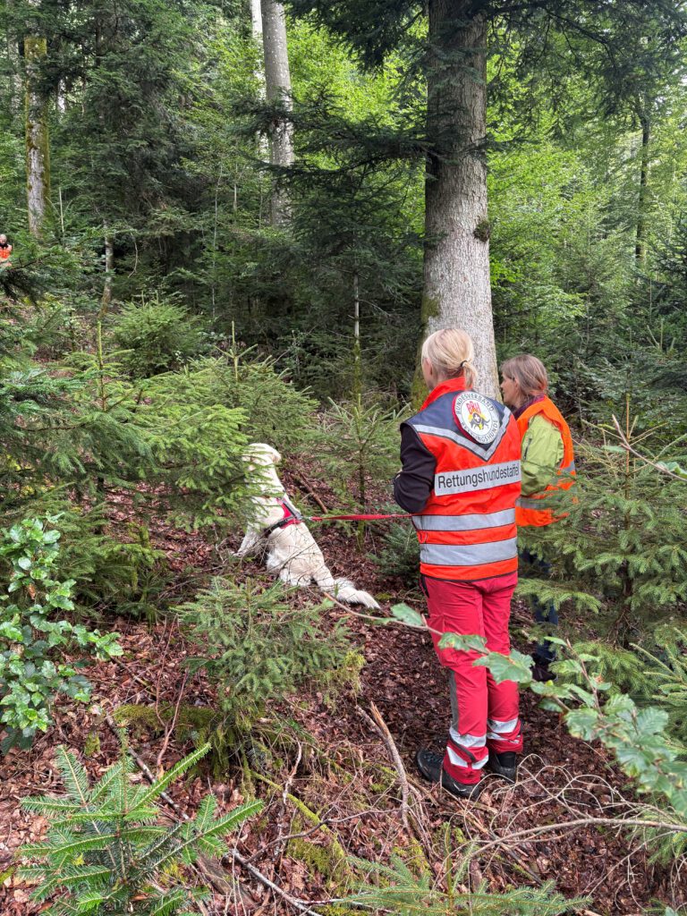 Die ersten Übungen im Wald von Biederbach